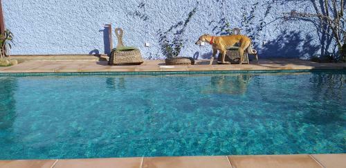 La Casita Azul