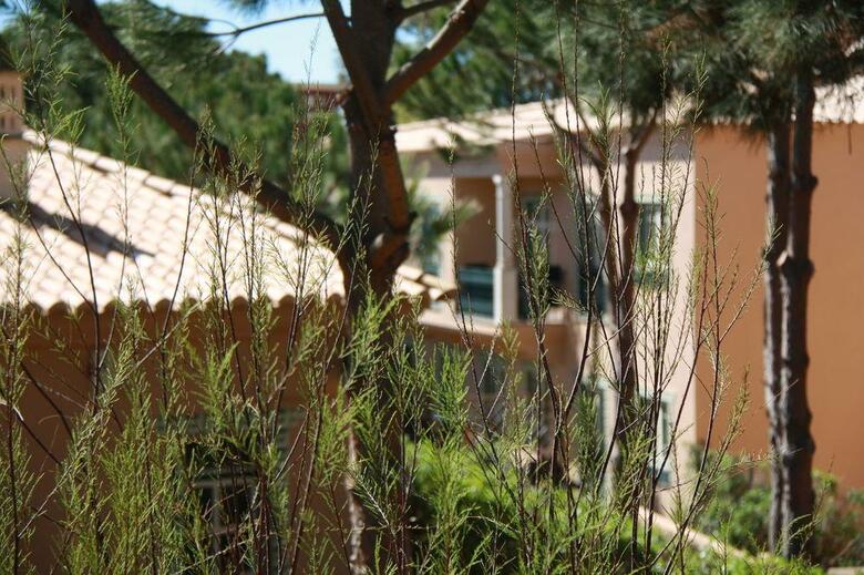 Hotel Quinta Pedra Dos Bicos