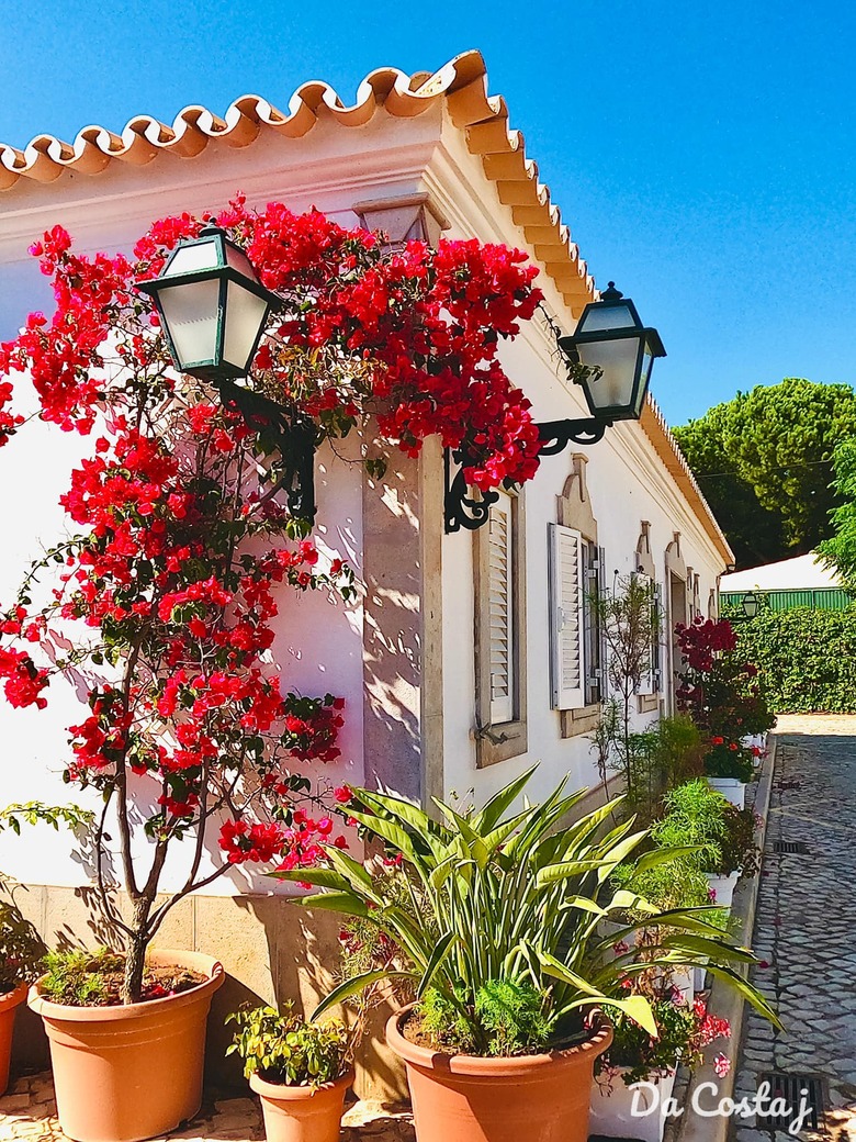 Hotel Balaia Sol Holiday Club