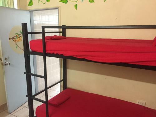 Cairns City Backpackers Hostel