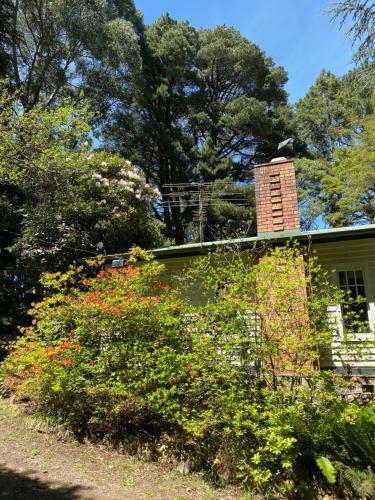 Lochiel Luxury Accommodation