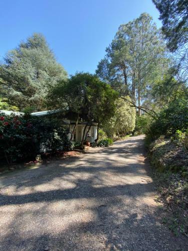 Lochiel Luxury Accommodation
