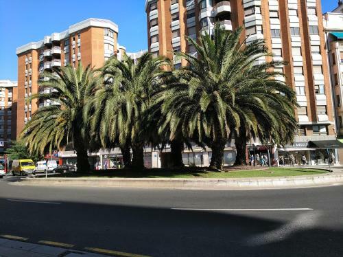 Apartamento Gonzalo de Berceo 15
