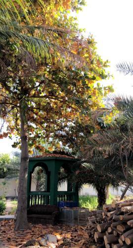 Lodge Nizwa Garden Suite