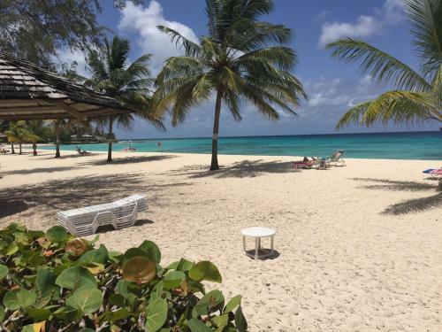 Great Apartment In Bridgetown Barbados Bargain