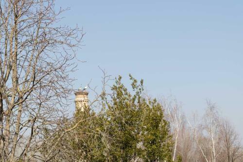 Apartamento Centro Hist�rico - Muralla Revell�n