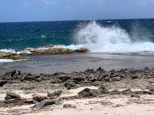 Apartamento Oceanfront Condo With Pool,breathtaking View, Wifi