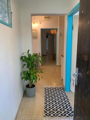 Apartamento ??????? ???