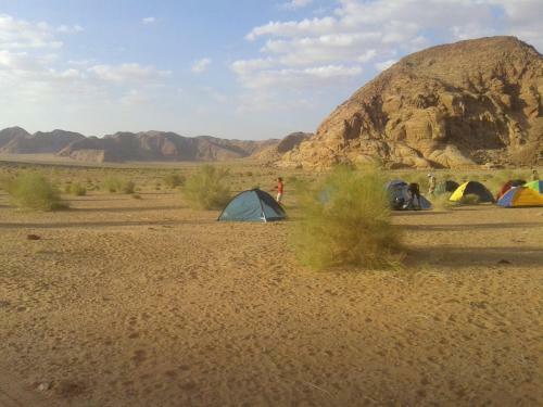 Wadi Rum Protected Area Camp