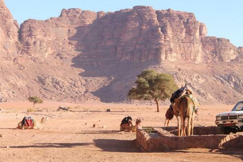 Wadi Rum Protected Area Camp