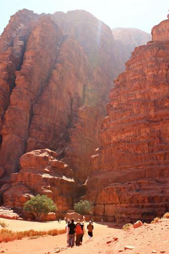 Wadi Rum Protected Area Camp
