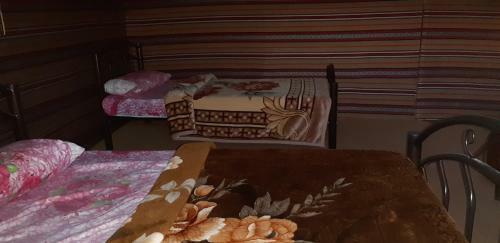 Hotel Bedouin Future Camp