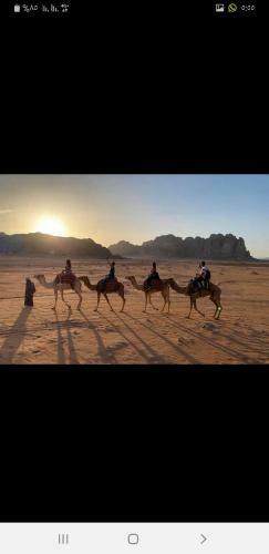 Hotel Bedouin Future Camp