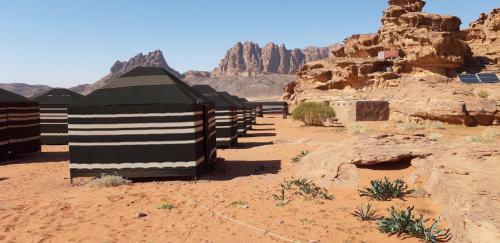 Hotel Bedouin Future Camp