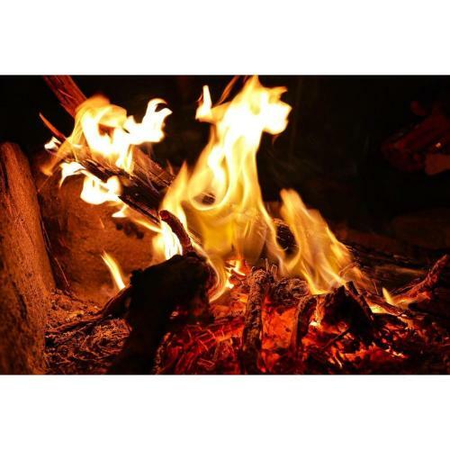 Hotel Bedouin Future Camp