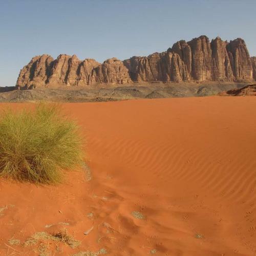 Hotel Bedouin Future Camp