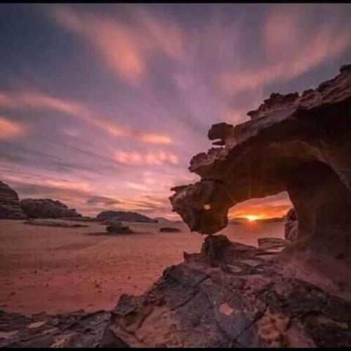 Hotel Bedouin Future Camp