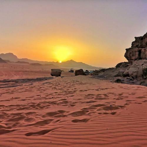 Hotel Bedouin Future Camp