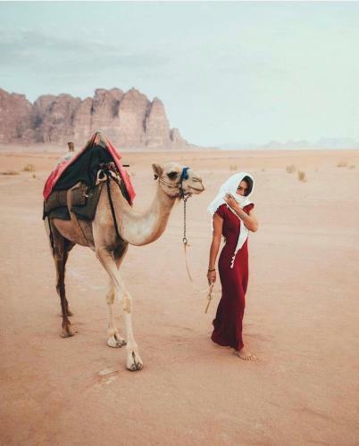 Hotel Bedouin Future Camp