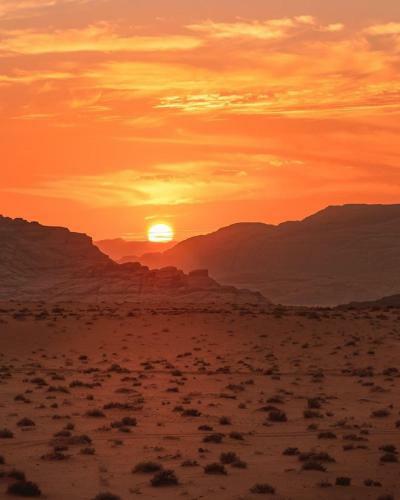 Hotel Bedouin Future Camp