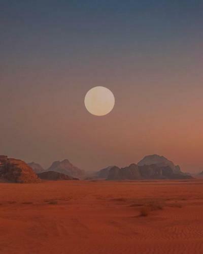 Hotel Bedouin Future Camp