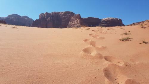 Wadirum Sand Camp