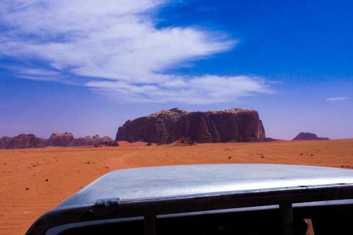 Bedouin Host Camp& With Tour
