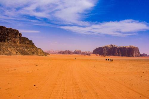 Bedouin Host Camp& With Tour