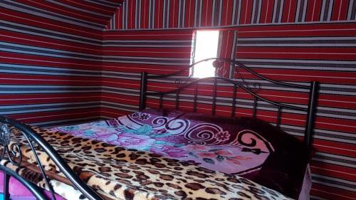 Bedouin Host Camp& With Tour