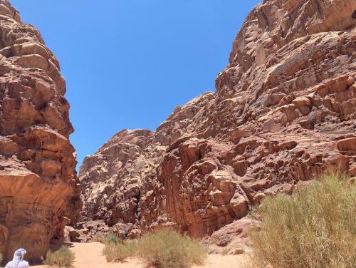 Bedouin Host Camp& With Tour