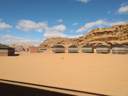 Bedouin Host Camp& With Tour