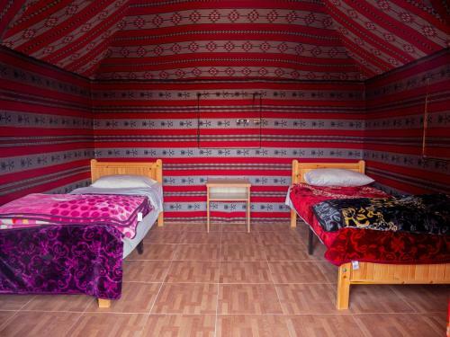 Desert Mars Camp & Tours