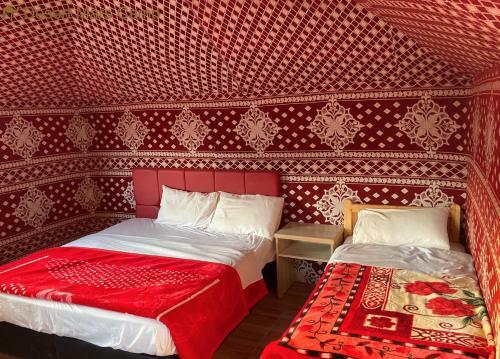 Desert Mars Camp & Tours