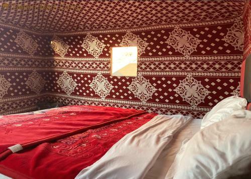 Desert Mars Camp & Tours