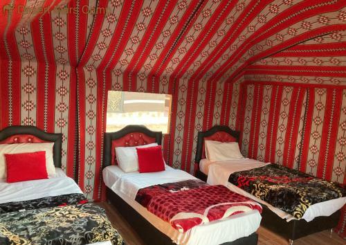 Desert Mars Camp & Tours