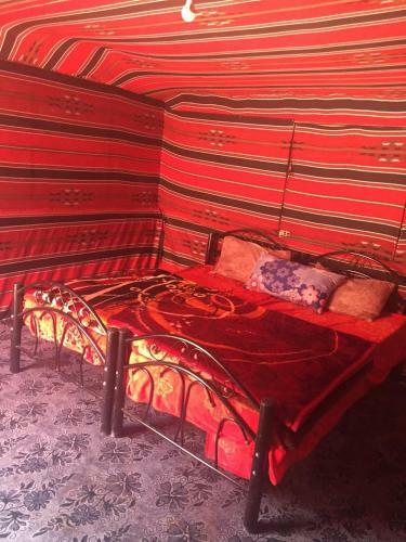 Desert Mars Camp & Tours