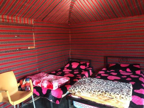 Desert Mars Camp & Tours