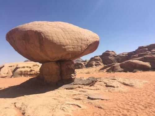 Desert Mars Camp & Tours
