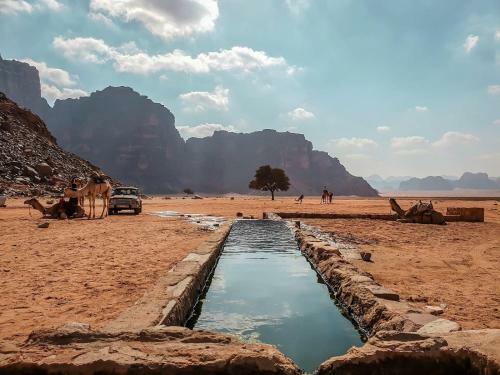Desert Mars Camp & Tours