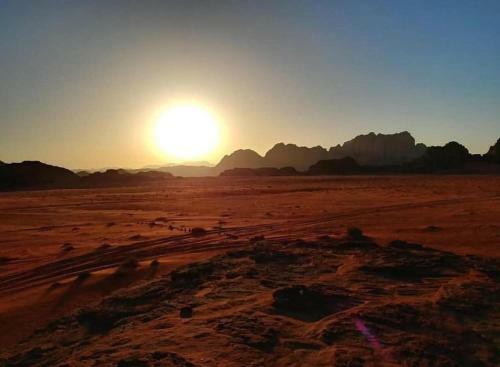 Desert Mars Camp & Tours