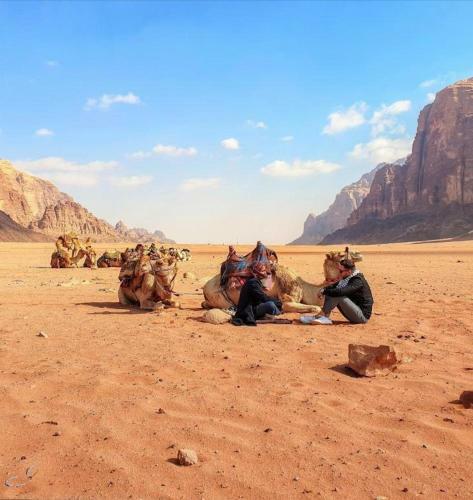 Desert Mars Camp & Tours