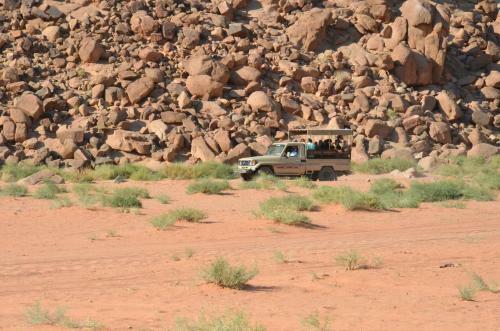 Wadi Rum Camp& Jeep Tour