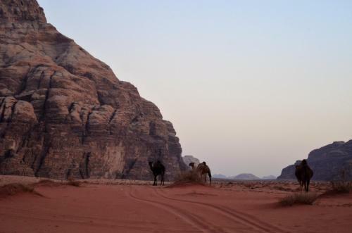 Wadi Rum Camp& Jeep Tour
