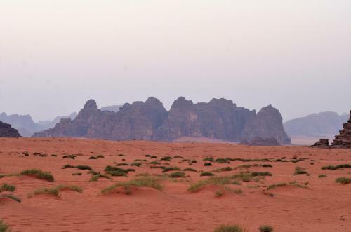 Wadi Rum Camp& Jeep Tour