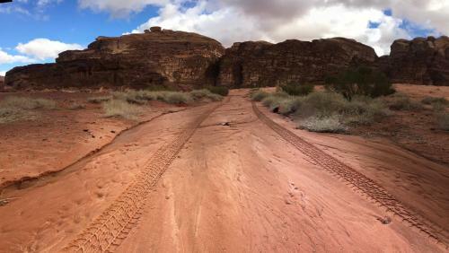 Wadi Rum Camp& Jeep Tour