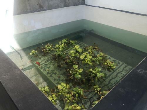 Agroturismo Villa Mamita