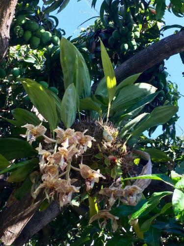 Agroturismo Villa Mamita