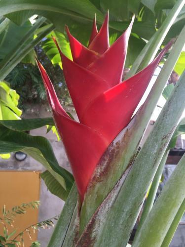 Agroturismo Villa Mamita