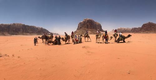 Star Walk Camp & Tours