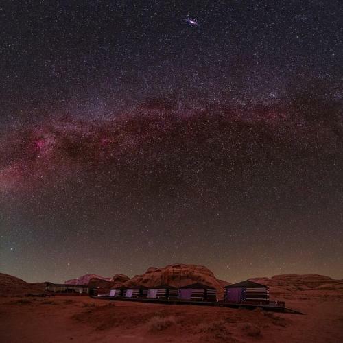 Discover The Life Of Wadi Rum
